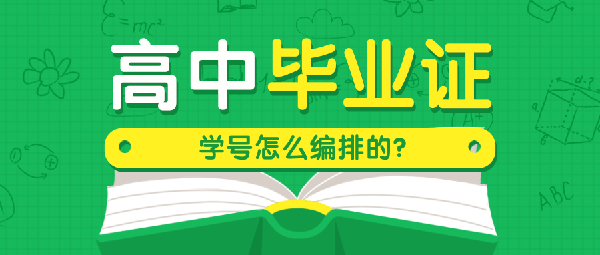 普通高中毕业证学号怎么编排