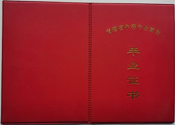 青海省2004年中专毕业证封皮