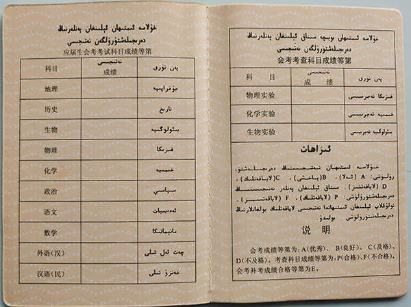 2000年新疆高中毕业证成绩单