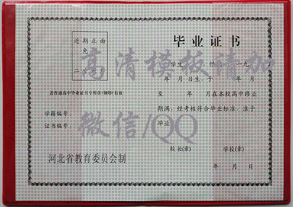 河北省1996年高中毕业证内芯